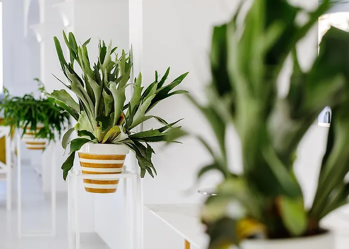 Отель Domo20 & Rooftop